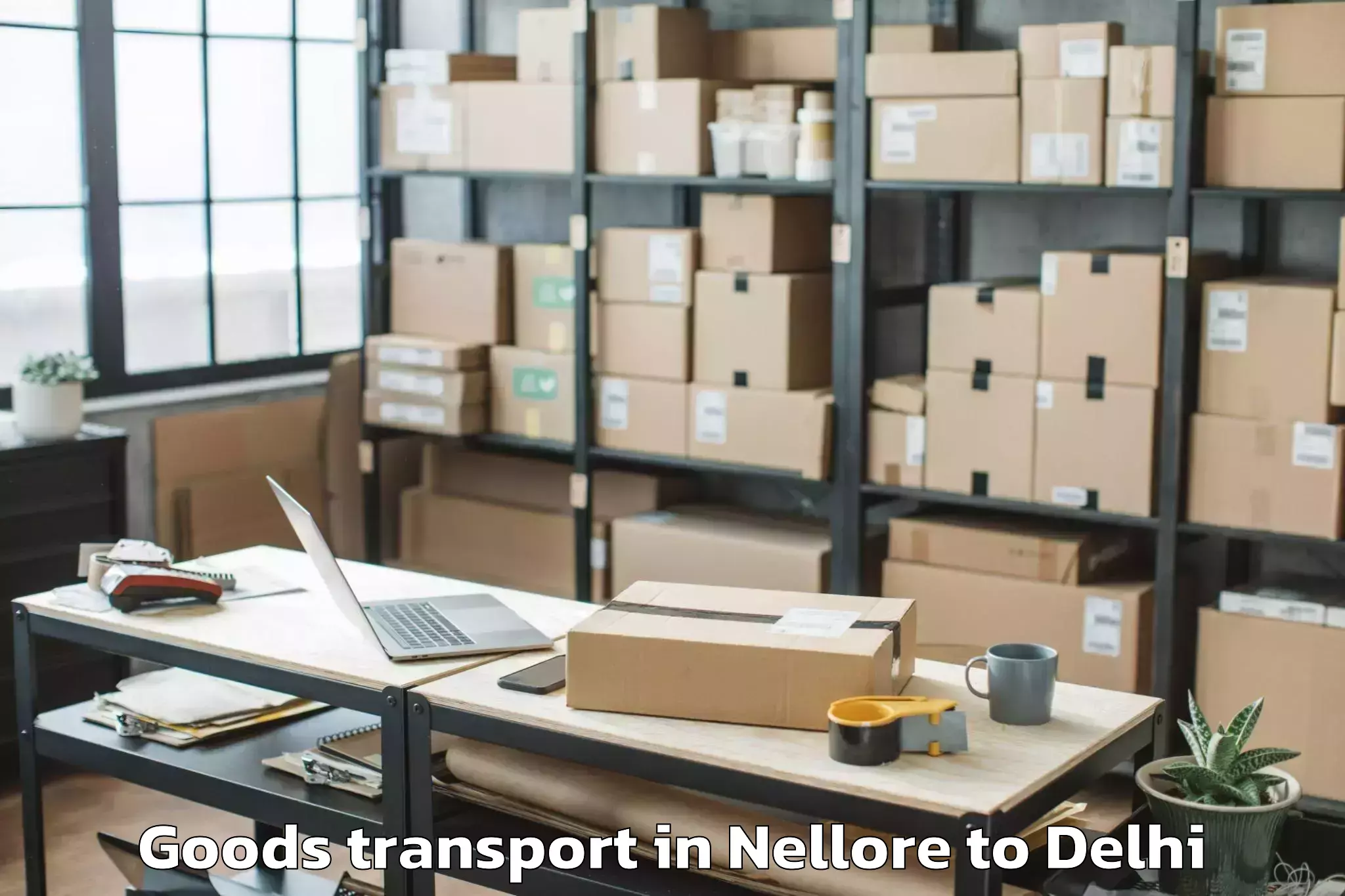 Professional Nellore to Flatted Factory Complex Okhla Goods Transport